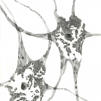 At A Loss | Archival Ink on Paper | 12 x 16" | $2,400