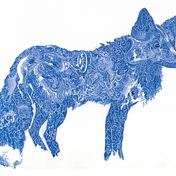 Blue Fox | Archival Ink on Paper | 8 x 10" | SOLD