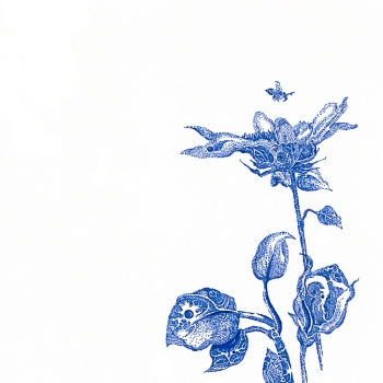 Thrive, Lesser | Archival Ink on Paper | 8 x 10" | SOLD